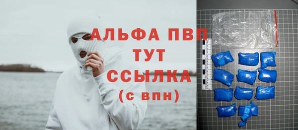 шишки Белокуриха