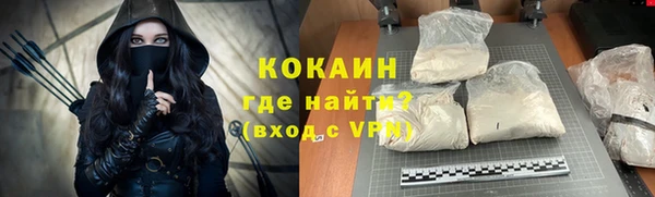 шишки Белокуриха