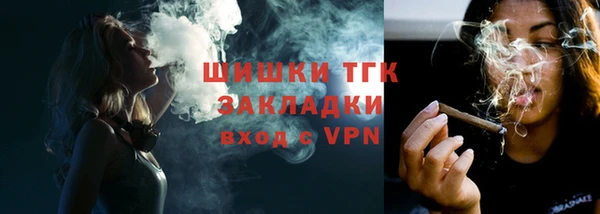 шишки Белокуриха