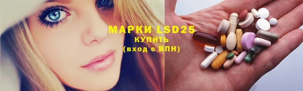 шишки Белокуриха
