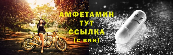 прущие грибы Сосновый Бор
