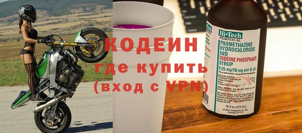 шишки Белокуриха