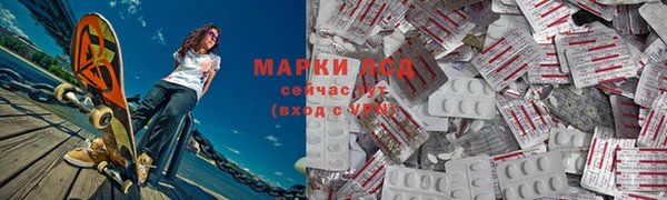 шишки Белокуриха