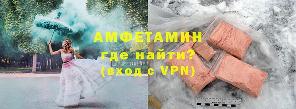 шишки Белокуриха