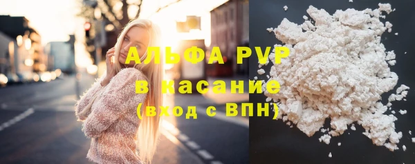 шишки Белокуриха