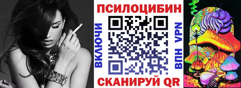 Псилоцибиновые грибы Psilocybe  купить наркотики сайты  Высоцк 